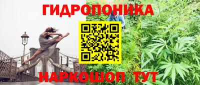 ПСИЛОЦИБИНОВЫЕ ГРИБЫ Будённовск