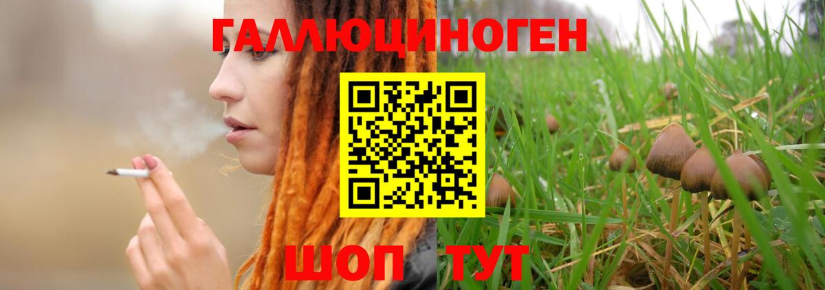 Галлюциногенные грибы MAGIC MUSHROOMS Ливны